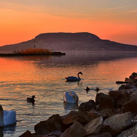 Codini Haz Appartement