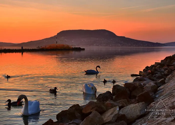 Codini Haz Apartament